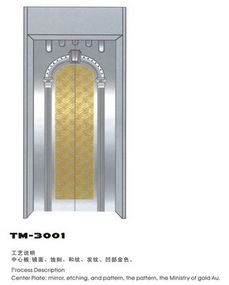 不銹鋼蝕刻 腐蝕 鈦金拉絲和紋電梯廳門裝潢板價(jià)格 生產(chǎn)廠家 佛山市欣瑞強(qiáng)金屬制品廠